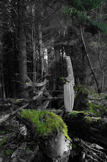 knife, wild, forest, beautiful Wallpaper, nature, background, wilderness, wood, adventure, compass, travel