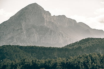 tree, forest, mountains, sky, antalya, turkey, camp, travel, picnic, nature