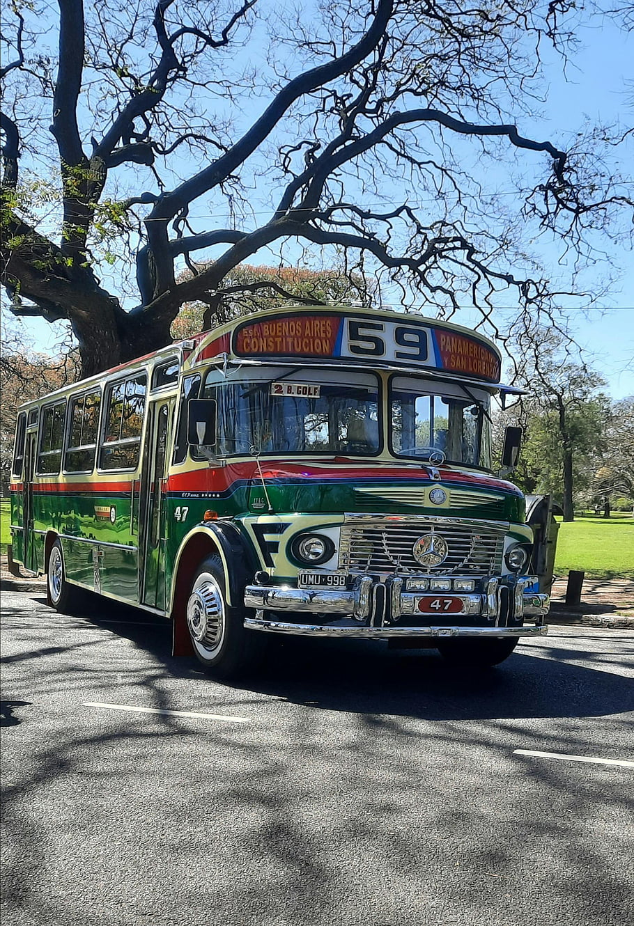 vintage bus, colorful bus, Palermo, Buenos Aires, Argentina, scenic street, vintage transportation, classic vehicle, historic bus, urban scene, South America