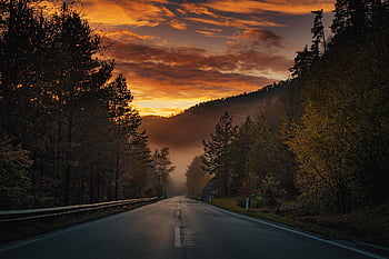 road, street, forest, dawn, sunset, sun, fall, autumn, landscape, nature, fog