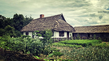 chalupa, Dům, hospodařit, Polsko, sierpc, etnografie, Muzeum masovských vesnic, starý