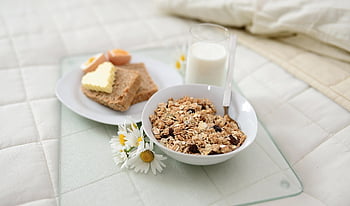 아침 식사, 침대에서 아침 식사, 시리얼, 덩어리, 버터, 침실, 라이프 스타일, 위로, 식사, 편하게 하다, 건강한