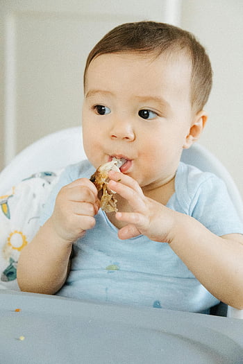 infant eating, baby food, chicken meal, high chair, first taste, cute baby, close-up shot, enjoying meal, baby eating, baby in high chair, infant nutrition