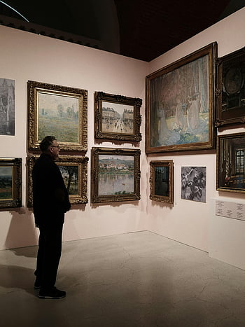 homme regardant un tableau, galerie d'art, peintures encadrées, Observer l'art, visiteur de la galerie, peintures murales, exposition d'art, homme dans la galerie, oeuvre encadrée, Appréciation d'art, intérieur de la galerie