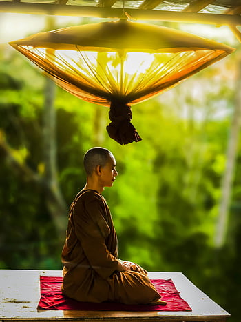 Monaco buddista, meditazione, all'aperto, pace, spiritualità, monaco, Meditazione all'aperto, pratica spirituale, sereno, impostazione della natura