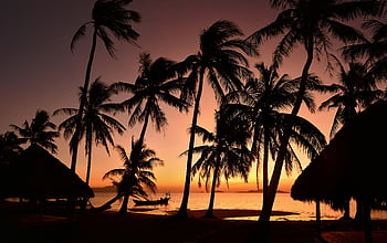 coconut trees, beach, sunrise, sunset, tropical, ocean, travel inspiration, palm trees, silhouette, vibrant, hut