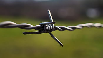 ostnatý drát, drát, plot, uzel, barb wire, ocel, bariéra, bezpečnostní, hranice, detailní