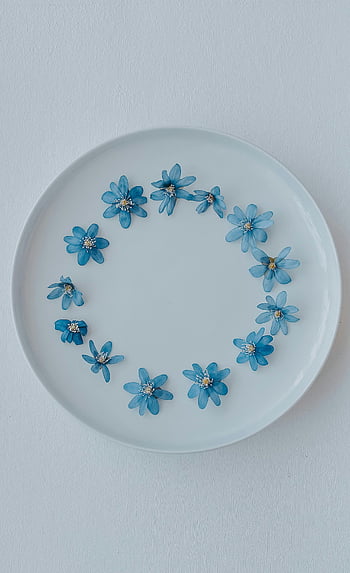 blue flowers, white ceramic plate, top view, delicate blue flowers, circular arrangement, floral decoration, minimalist design, tableware, decorative plate, blue floral, white plate