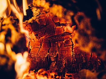 pálení dřeva, oheň, plameny, žhavé uhlíky, řeřavý, teplo, krb, palivové dříví, detail, táborák