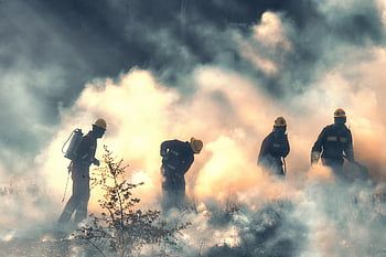 firemen, heroes, fire, smoke, rescue, brave, grass Fire, forest Fire, dangerous, job, douse