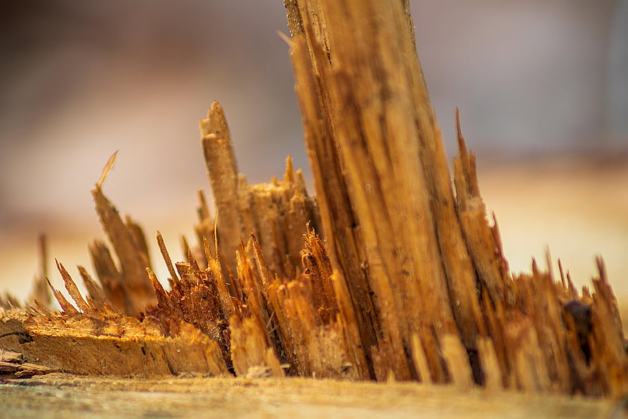 structure, wood, wood Chips, close Up, sharpen, wood Splinters, nature