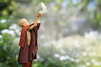 buddhista, mnich, Příroda, nováček, buddhismus, pták, uvolnění, milující dobrota, metta, svoboda, samanera