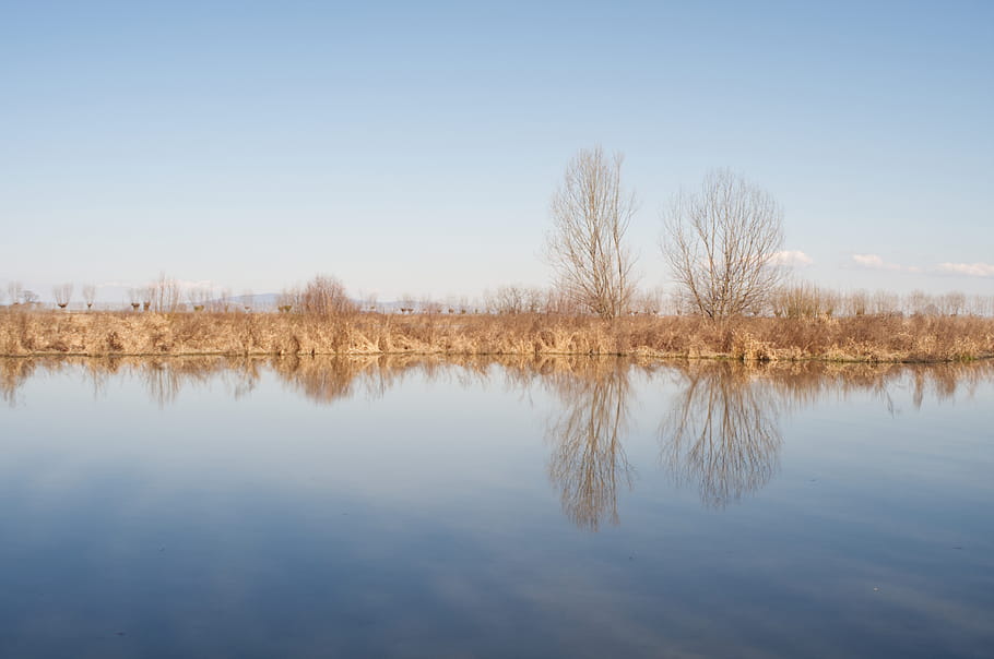 oasis, nature, landscape, water, racconigi, lipu, fuji, Tamron Adaptall, 29 mm, lens, reflection