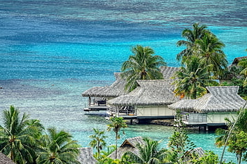 huts, sea, moorea, palm Trees, lagoon, nature, beach, resort, water, cottages, travel Destination