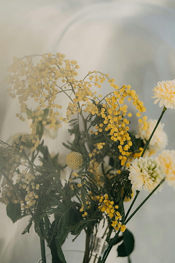 yellow flowers, mimosa, white flowers, delicate arrangement, soft light, summer feel, floral bouquet, yellow mimosa, white blooms, floral arrangement, summer flowers