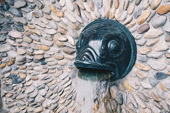 architecture, fountain, water, art Nouveau, city, nature, landmark, building, places Of Interest, vienna, austria