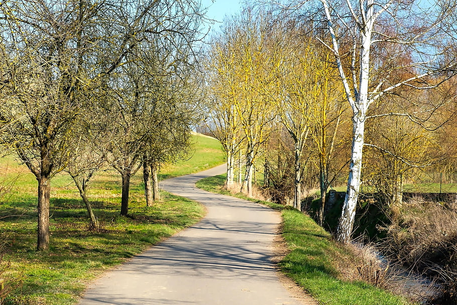 cyklostezka, silnice, stromy, chodník, asfalt, cesta, louka, pole, krajina, Příroda, venkovský
