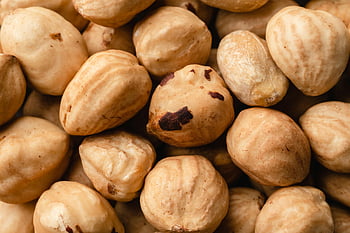 bruna hasselnötter, närbild skott, hög upplösning, skalade hasselnötter, platt låg, nötter, matfotografi, naturliga ingredienser, Hälsosamma snacks, makrofotografi, hasselnötsstruktur
