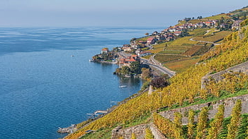 lavaux, lake Geneva, switzerland, vaud, wine Terraces, landscape, city, village, nature, to Travel, exploration