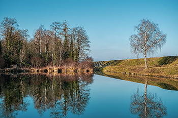 přírodní rezervace, údolí řeky, horní úrovni rhinu, krajina, baden-wuerttemberg, starý rýn, wyhl, kaiserstuhl, stromy, nebe, zimní
