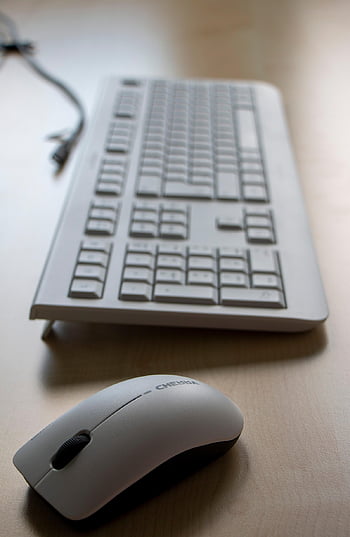 computer, keyboard, desk, office, workplace, work, workspace, input