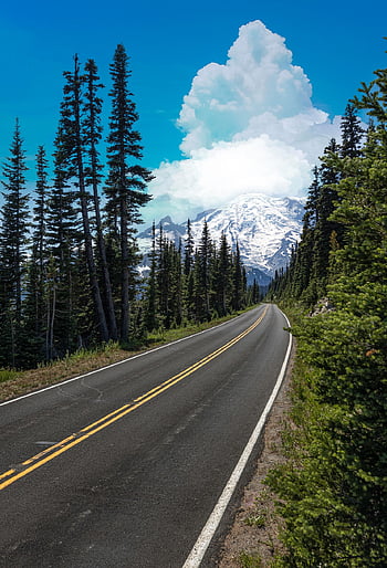 highway, washington State, pacific Northwest, road, trees, nature, landscape, forest, scenic, usa, united States