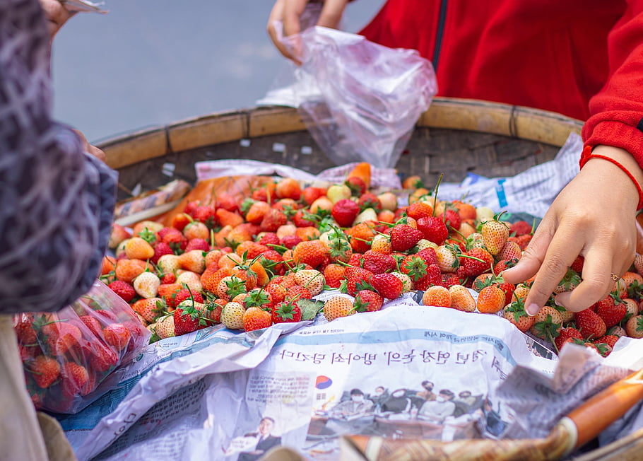 stroberi, PKL, buah-buahan, Stroberi kecil, Buah Merah Dan Jeruk