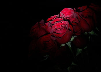 roses, nature, bouquet, flowers, flower Wallpaper, love, novel, romantic, flower, gift, bloom