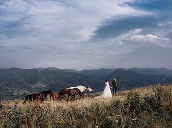 bride, groom, wedding, wedding Photography, bridal Gown, bridal Dress, couple, pair, together, love, lovers