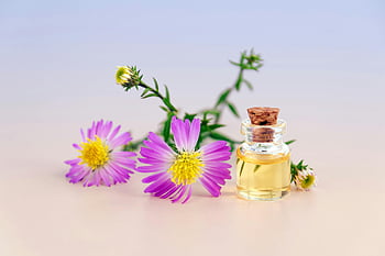 purple aster flowers, clear glass bottle, cork lid, essential oil, white background, aesthetic arrangement, purple petals, glass bottle, cork, essential oil bottle, white surface