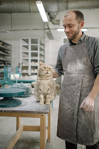 エプロンの男、 ペッティングキャット、 ワークショップ、 平穏な瞬間、 親密なシーン、 テーブルの上の猫、 ワークショップの設定、 男と猫、 エプロンを着た男、 穏やかなふれあい、 ワークショップ環境