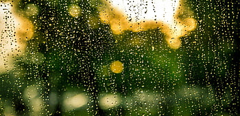 vodní rosa, čirý skleněný panel, kapky deště, okno, bokeh, venkovní scénu, Příroda, vlhkost, skleněný povrch, kapky vody, vlhké sklo