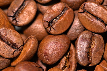 caffè, fagioli, semi, caffeina, caffetteria, fragranza, fritte, cibo, bevande, Marrone, aromatico