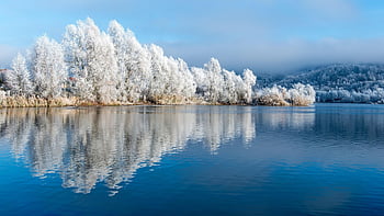 winter, lake, landscape, trees, snow, cold, frost, frozen, reflection, water, hoarfrost