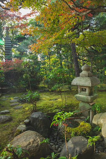 japonská zahrada, kamenné lucerny, svěží zeleň, podzimní listí, Klidná zahrada, Tradiční zahrada, mechový skály, stromy, klidná krajina, Přírodní krásy, Mírové prostředí