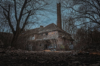 Opuštěný cihlový dům, Budova pokrytá graffiti, bezlisté stromy, Cloud Day Sky, rozpadlá struktura, Hororová témata, uprostřed lesů, strašidelná atmosféra, Nastavení děsivých, opuštěný majetek, Zarostlá vegetace