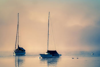 Boote, See, Segelboote, Segeln, Masten, Takelwerk, Tauwerk, Schiffe, Nebel, Dunst, Silhouette