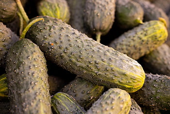 cucumber, pickle, vegetable, fruit, healthy, market, diet, vitamin, fresh, raw, nutrition