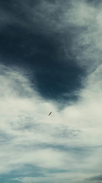 létání ptáků, bílé mraky, modrá obloha, racek, dramatické mraky, Marina Punta, Itálie, Serene Skyscape, fotografování přírody, volně žijících živočichů, krajina