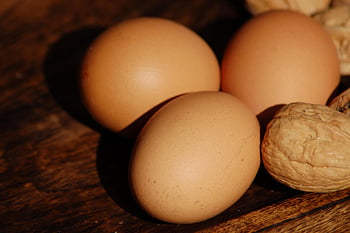 egg, food, kitchen, protein, yolk, ingrediants