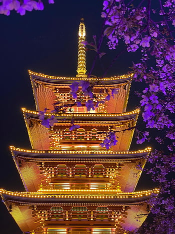 pagoda, temple, night, lights, cherry Blossom, flowers, branches, building, evening, japanese, night View