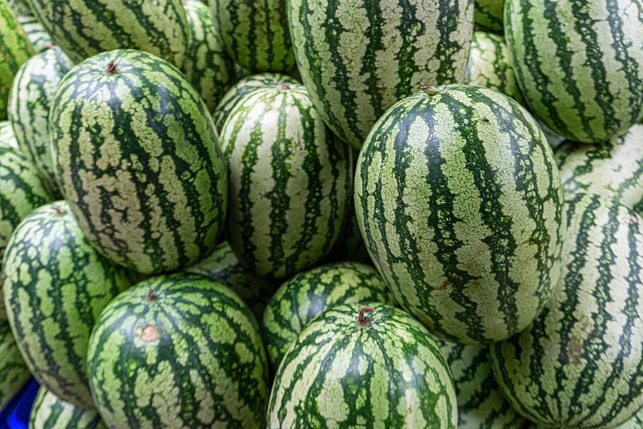 vodní melouny, ovoce, organický, sklizeň, trh, vodní meloun, zelený meloun, výživa, čerstvý, jídlo, zdravý