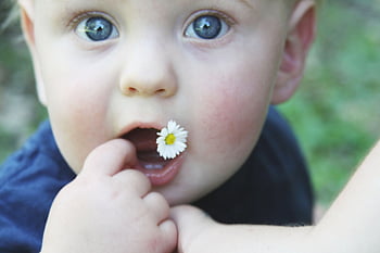 bambino, viso, giovane, poco, contento, avvicinamento, infanzia, analizzare, cercare, guardare, allegro, bianca, persone