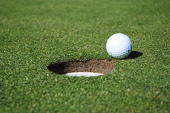 golf, ball, green, hole, course, sport, play, playing, hole In One, golf Course, golf Ball