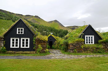 turf roofed houses, green landscape, traditional houses, lush hillside, serene countryside, rustic charm, countryside houses, green roof, stone walls, rural scene, natural setting