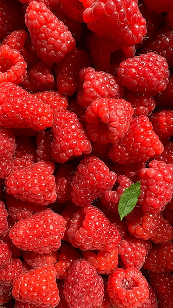 zralé maliny, maliny detailní záběr, Vibrující maliny, přírodní textura, červené maliny, čerstvé maliny, Raspberry Textura, malinová barva, malina detailní, malinový list, malinové ovoce