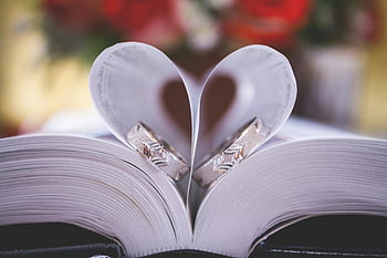 wedding rings, heart-shaped book, love symbol, romance, close-up, book pages, heart shape, romantic photo, wedding theme, love story, heart book