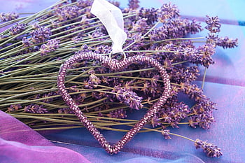 Lavendel, getrockneter Lavendel, Herz Ornament, lilane Blumen, romantisch, Liebe, Aromatherapie, Kräuter-, Blumendekor, natürliche Schönheit, rustikal