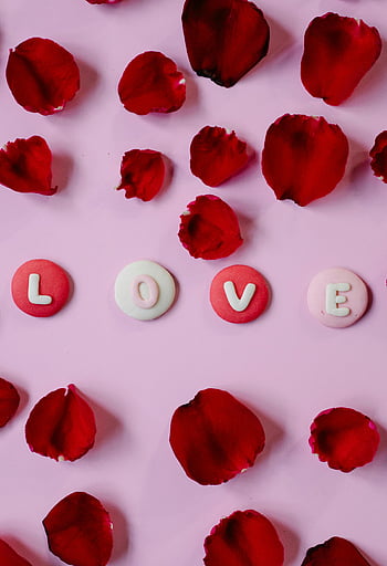 Iscrizione d'amore, petali di rosa, distesa piatta, Temi di San Valentino, sfondo rosa, rosa rossa, Foto romantica, parola d'amore, San Valentino, Romantico piatto piatto, amore e rose