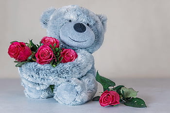 Rose, Rose rosse, orsacchiotto di peluche, orsacchiotto, amore, carina, natura, sfondo di fiori, romantico, fiore, abbraccio